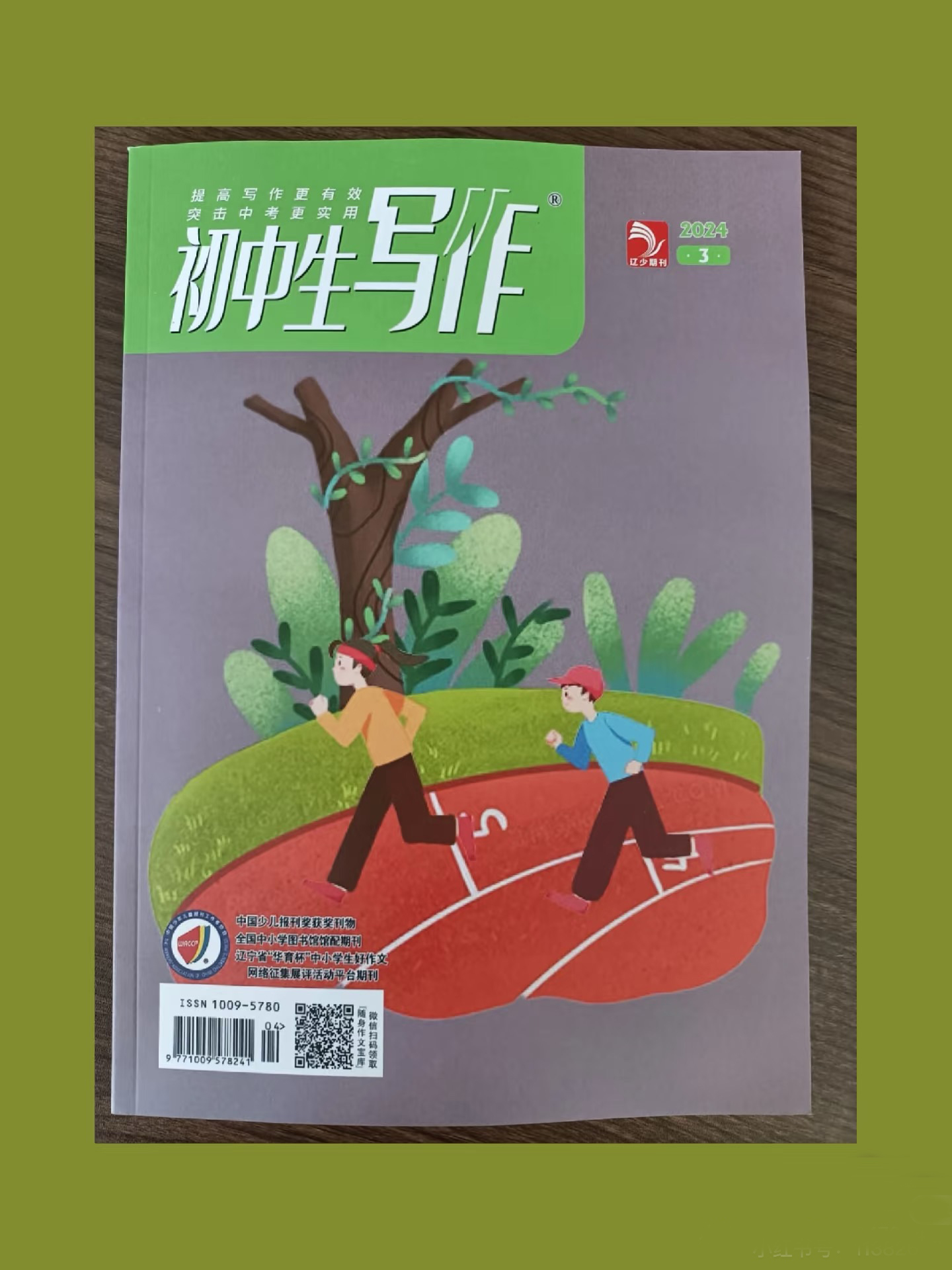 初中生写作